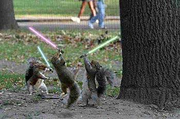 Click image for larger version

Name:	jedi__squirrels.jpg
Views:	149
Size:	28.1 KB
ID:	1246155