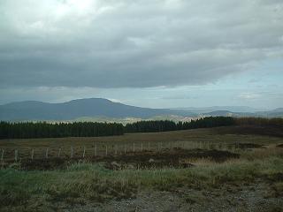 Click image for larger version

Name:	Scotland 2007 029.JPG
Views:	170
Size:	21.9 KB
ID:	1246429