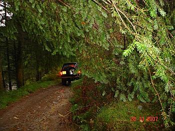 Click image for larger version

Name:	Copy of DSC01727.JPG
Views:	148
Size:	191.3 KB
ID:	1246456