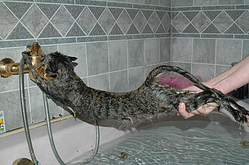 Click image for larger version

Name:	image012.jpg
Views:	192
Size:	75.9 KB
ID:	1247076