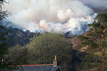 Click image for larger version

Name:	IMG_7467_1.jpg
Views:	176
Size:	73.4 KB
ID:	1247197