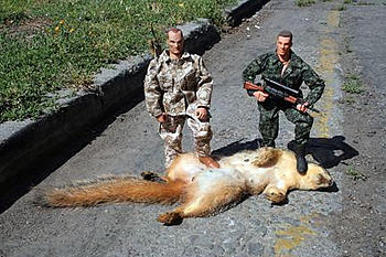 Click image for larger version

Name:	dead squirrel.jpg
Views:	143
Size:	60.1 KB
ID:	1247342