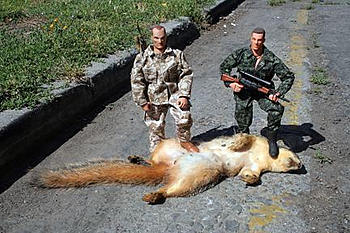 Click image for larger version

Name:	dead squirrel.jpg
Views:	159
Size:	60.1 KB
ID:	1247342