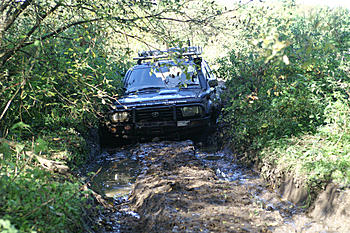 Click image for larger version

Name:	PICT2994.JPG
Views:	188
Size:	288.4 KB
ID:	1249885