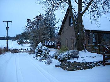 Click image for larger version

Name:	23nov08_home 006.jpg
Views:	176
Size:	97.5 KB
ID:	1249986