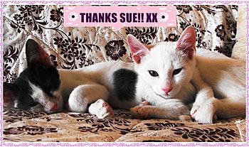 Click image for larger version

Name:	DSCF0072.JPG
Views:	140
Size:	244.0 KB
ID:	1250888
