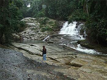 Click image for larger version

Name:	Atlantic_Rainforest_Brazil.jpg
Views:	159
Size:	66.7 KB
ID:	1250961