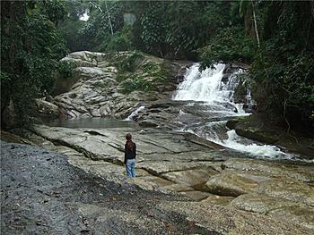 Click image for larger version

Name:	Atlantic_Rainforest_Brazil.jpg
Views:	218
Size:	66.7 KB
ID:	1250961