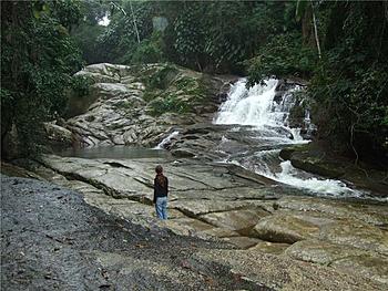 Click image for larger version

Name:	Atlantic_Rainforest_Brazil.jpg
Views:	176
Size:	66.7 KB
ID:	1250961