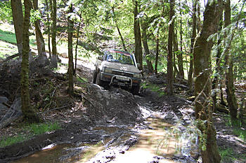 Click image for larger version

Name:	DSC_0162.JPG
Views:	150
Size:	185.8 KB
ID:	1251352