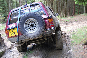 Click image for larger version

Name:	DSC_0196.JPG
Views:	147
Size:	171.0 KB
ID:	1251354