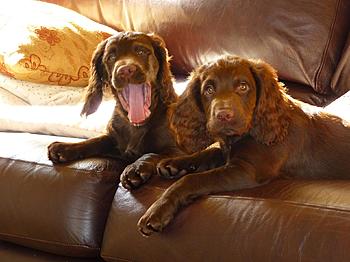 Click image for larger version

Name:	P1000958(1).jpg
Views:	131
Size:	292.1 KB
ID:	1251549