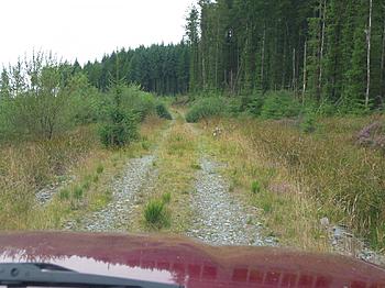 Click image for larger version

Name:	P1000576.jpg
Views:	173
Size:	305.4 KB
ID:	1251669