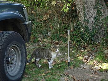 Click image for larger version

Name:	pic2.jpg
Views:	175
Size:	49.5 KB
ID:	1251788