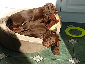 Click image for larger version

Name:	P1000876(1).jpg
Views:	195
Size:	295.3 KB
ID:	1253783