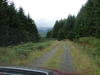 Click image for larger version

Name:	P1020680.jpg
Views:	162
Size:	297.8 KB
ID:	1254526
