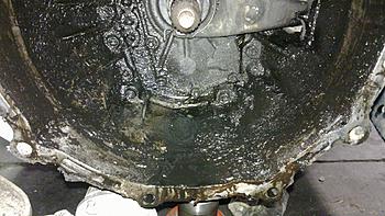 Click image for larger version

Name:	12060010.jpg
Views:	855
Size:	331.2 KB
ID:	1255335