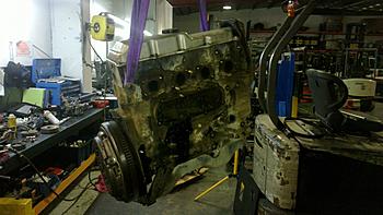 Click image for larger version

Name:	12060015.jpg
Views:	823
Size:	298.1 KB
ID:	1255340