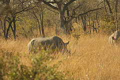 Click image for larger version

Name:	Matopos.jpg
Views:	177
Size:	22.0 KB
ID:	1258954