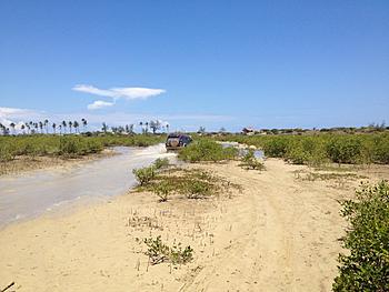 Click image for larger version

Name:	Tidal mangrove track.jpg
Views:	559
Size:	293.9 KB
ID:	1259017