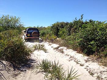 Click image for larger version

Name:	sand.jpg
Views:	670
Size:	310.0 KB
ID:	1259021