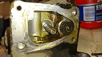 Click image for larger version

Name:	DSC_0242.jpg
Views:	11386
Size:	310.1 KB
ID:	1259360