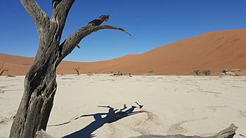 Click image for larger version

Name:	IMG-20160828-WA0013[1].jpg
Views:	356
Size:	101.9 KB
ID:	1259404