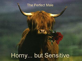 Click image for larger version

Name:	perfectmale.jpg
Views:	273
Size:	50.8 KB
ID:	1260309
