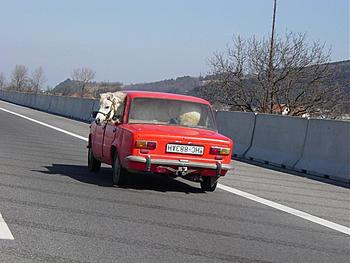 Click image for larger version

Name:	Ferrari2.jpg
Views:	233
Size:	64.1 KB
ID:	1260460