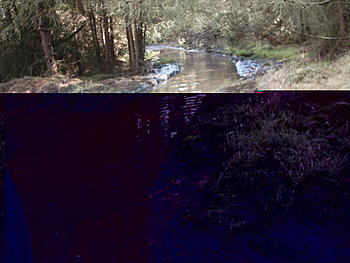 Click image for larger version

Name:	IMAGE0022.JPG.JPG
Views:	177
Size:	169.4 KB
ID:	1260619