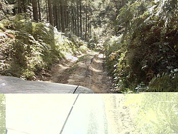 Click image for larger version

Name:	IMAGE0030.JPG.JPG
Views:	146
Size:	229.5 KB
ID:	1260620