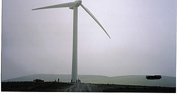 Click image for larger version

Name:	windmill surfin 2.jpg
Views:	103
Size:	363.3 KB
ID:	1261077