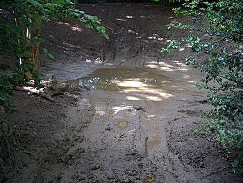 Click image for larger version

Name:	bombhole.jpg
Views:	197
Size:	77.3 KB
ID:	1261484
