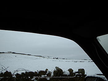 Click image for larger version

Name:	DSCF0004_small.jpg
Views:	183
Size:	102.0 KB
ID:	1262131