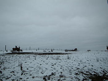 Click image for larger version

Name:	DSCF0010_small.jpg
Views:	180
Size:	152.9 KB
ID:	1262135