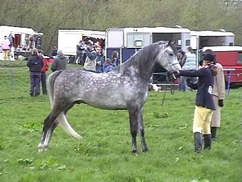 Click image for larger version

Name:	SilverBirch - [Erica - Mambo4].jpg
Views:	176
Size:	37.8 KB
ID:	1262669