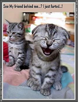 Click image for larger version

Name:	img04lTyJ.jpg
Views:	210
Size:	46.3 KB
ID:	1262842
