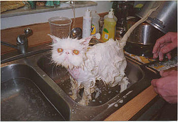 Click image for larger version

Name:	img4P0mwE.jpg
Views:	208
Size:	27.1 KB
ID:	1262843
