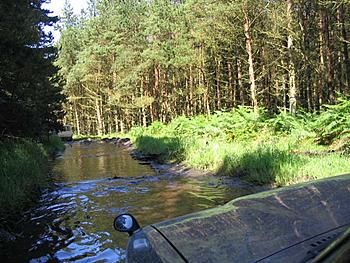 Click image for larger version

Name:	Mud-Glorious-Mud.jpg
Views:	287
Size:	71.3 KB
ID:	1262980