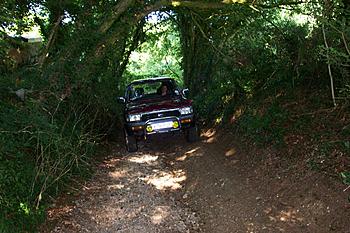 Click image for larger version

Name:	DCP_1939.JPG
Views:	163
Size:	406.3 KB
ID:	1262993