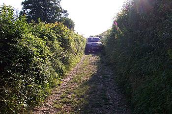 Click image for larger version

Name:	DCP_1940.JPG
Views:	139
Size:	450.3 KB
ID:	1262994