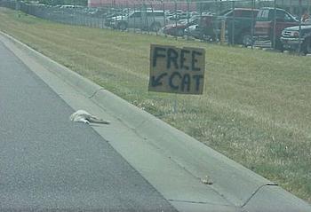 Click image for larger version

Name:	freecat.jpg
Views:	262
Size:	23.8 KB
ID:	1266621