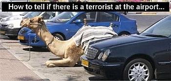 Click image for larger version

Name:	pic31552.jpg
Views:	246
Size:	33.8 KB
ID:	1266624