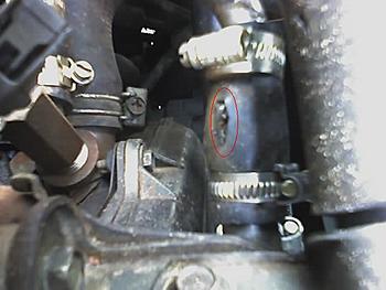 Click image for larger version

Name:	Hose split 3.JPG
Views:	178
Size:	31.6 KB
ID:	1266739