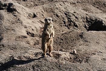 Click image for larger version

Name:	Img_0632.jpg
Views:	150
Size:	237.8 KB
ID:	1266761