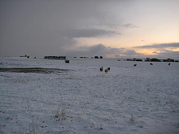 Click image for larger version

Name:	IMG_0680.JPG
Views:	195
Size:	154.1 KB
ID:	1268677