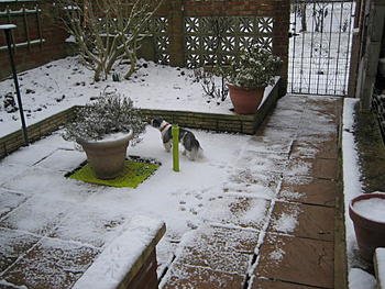 Click image for larger version

Name:	Picture 202.jpg
Views:	166
Size:	72.0 KB
ID:	1268815