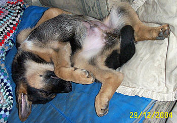 Click image for larger version

Name:	jakesmall (50).jpg
Views:	168
Size:	224.9 KB
ID:	1268916