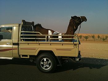 Click image for larger version

Name:	camel2.jpg
Views:	188
Size:	72.6 KB
ID:	1269238