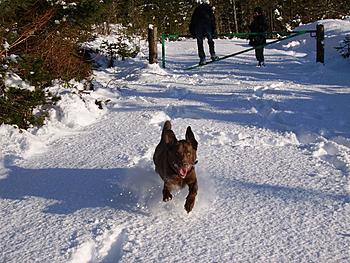 Click image for larger version

Name:	PICT2395.JPG
Views:	179
Size:	260.6 KB
ID:	1269300